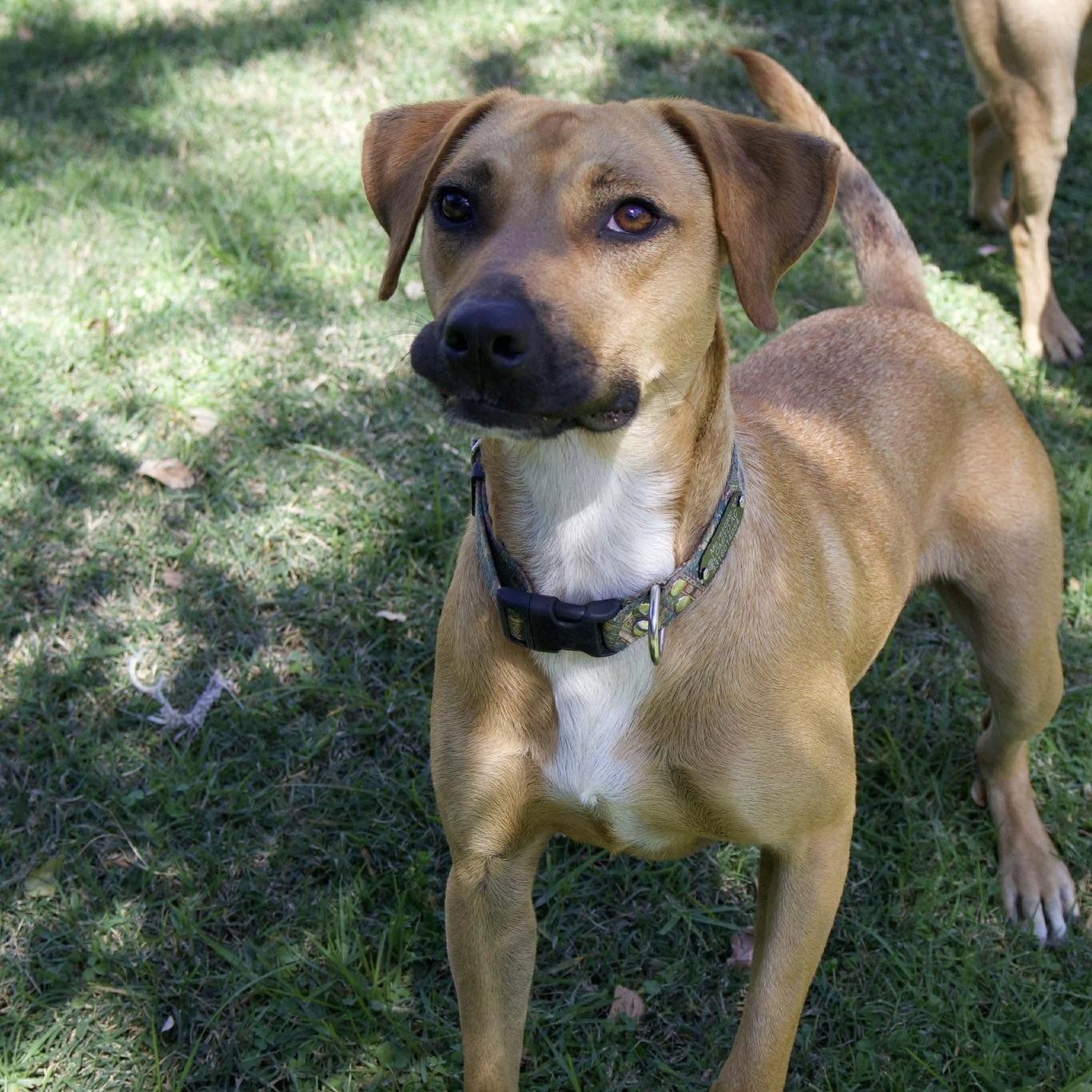 Machi (20240710-02) — thumbnail 5