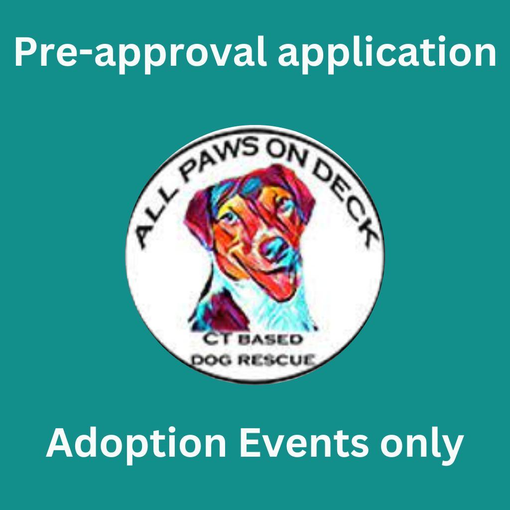 Enlarge EVENT: PRE-APPROVE ME, a Adoptable mixed breed in Griswold, CT image 1/1