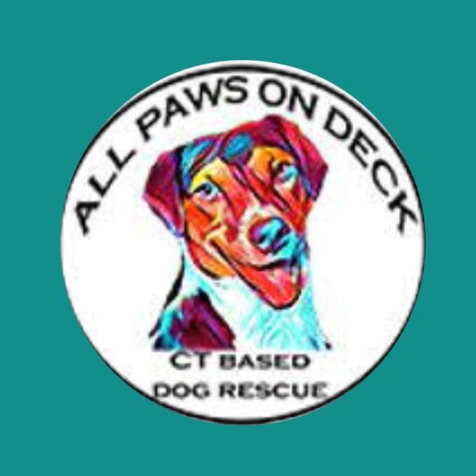 Enlarge General Pre-Approval Application, a Adoptable mixed breed in Griswold, CT image 1/1