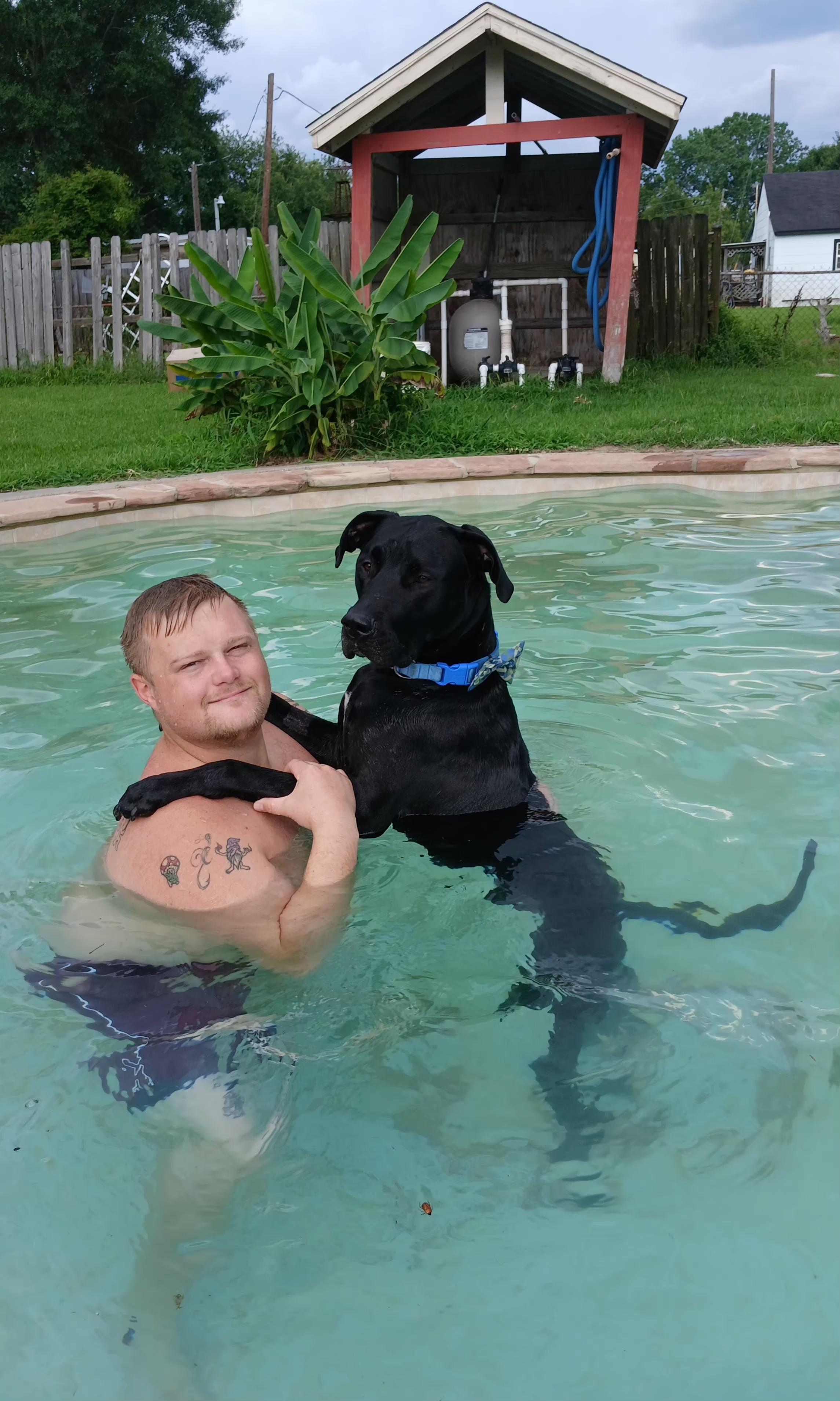 Enlarge Miles, a ADOPTABLE mixed breed in Houston, TX image 2/4