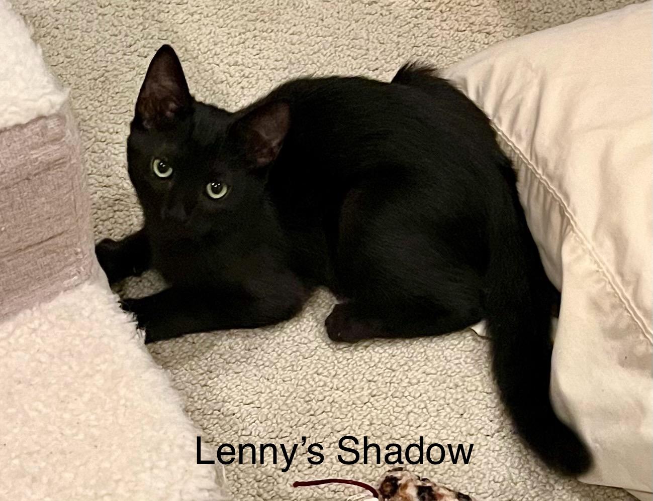 Lenny photo 3