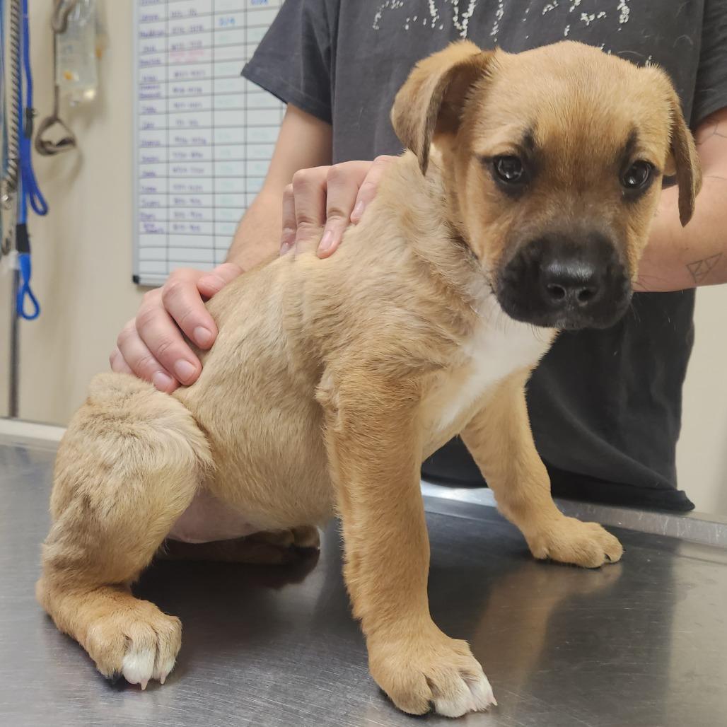 Grotta 22398 — thumbnail 2