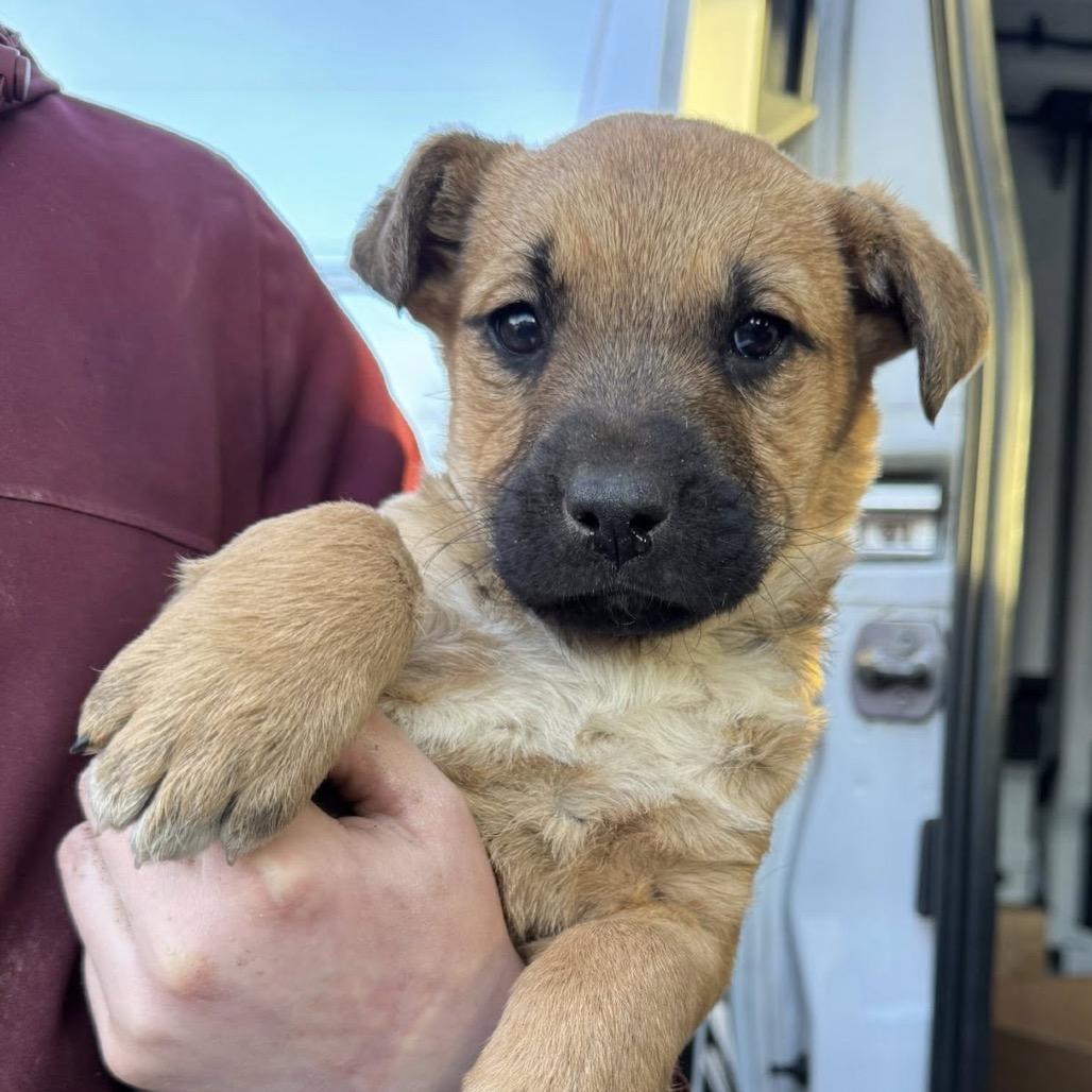 Grotta 22398 — thumbnail 3