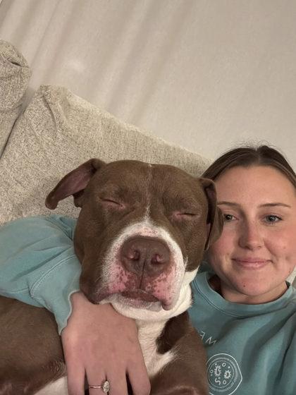 Maserati thumbnail 4