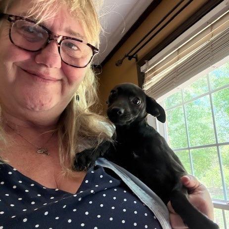 Enlarge Magnolia ~ cat friendly :-), an adopted mixed breed in Harrisburg, PA image 3/4