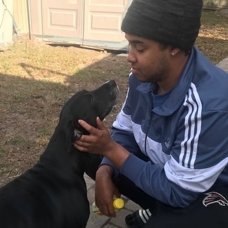 Enlarge Diamond, a Adoptable mixed breed in Jacksonville, FL image 4/5