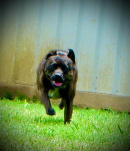 Roly Poly photo 2