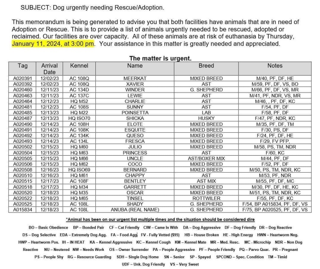 Enlarge CLAYTON COUNTY EUTHANASIA LIST 1/11, a Adoptable mixed breed in ATLANTA , GA image 1/2