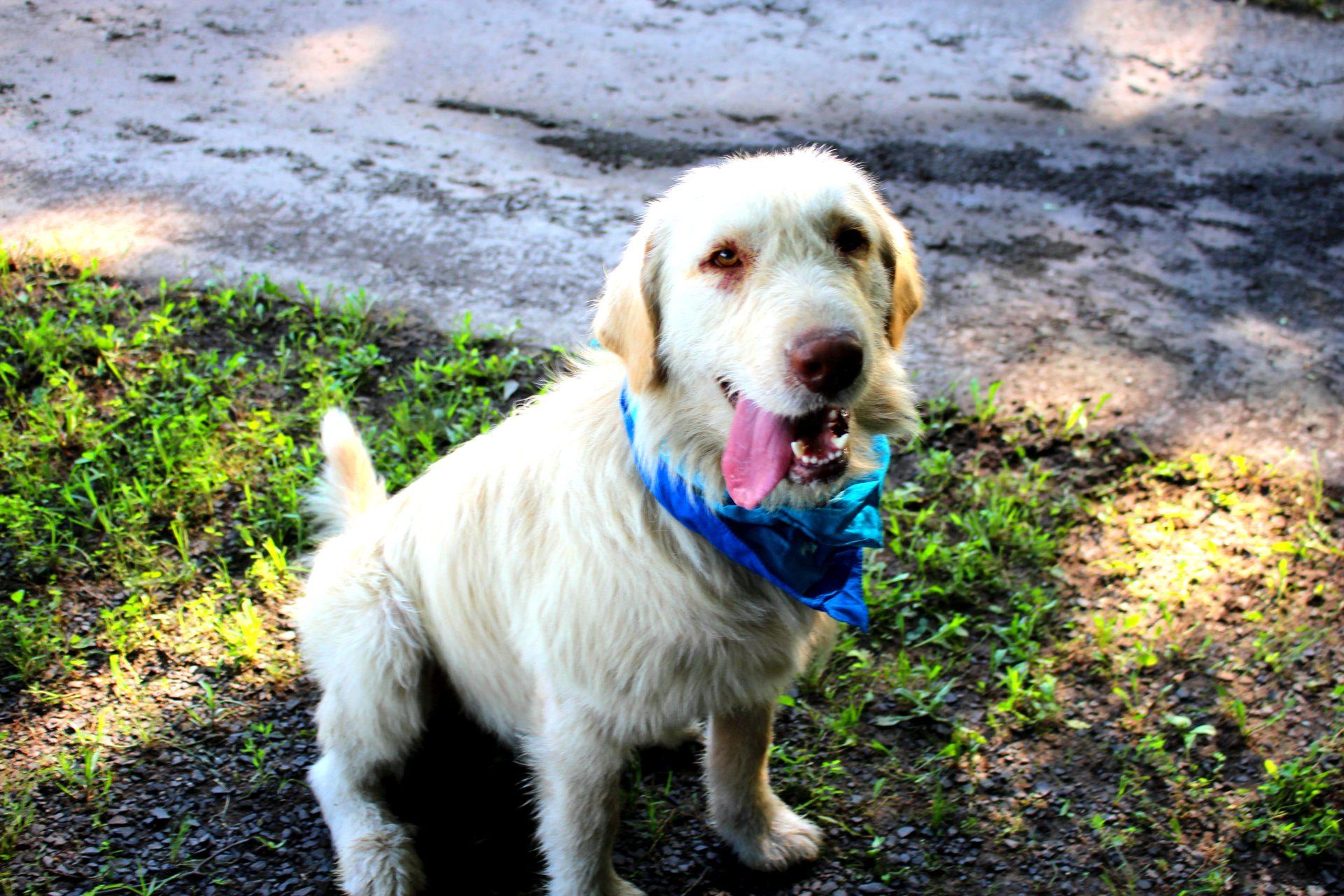 Axle photo 4