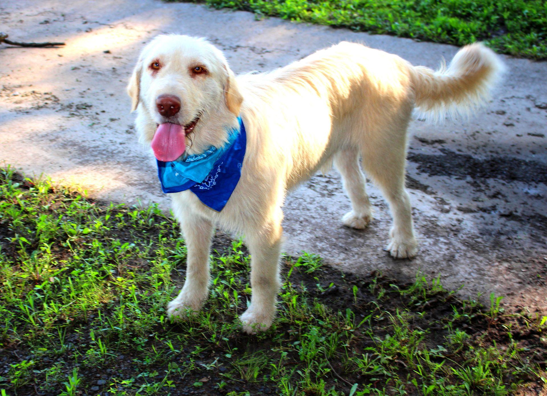 Axle photo 3