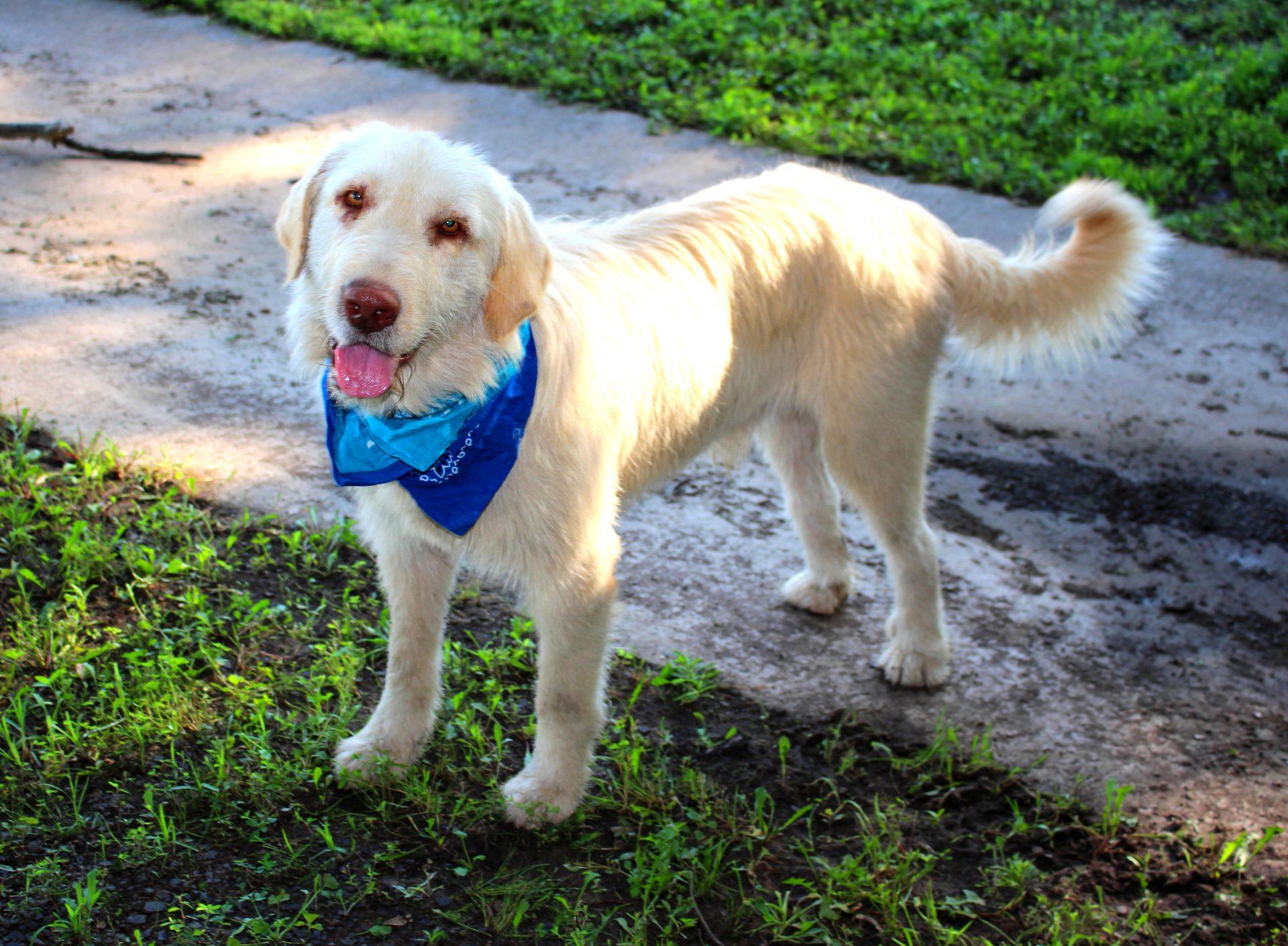 Axle photo 2