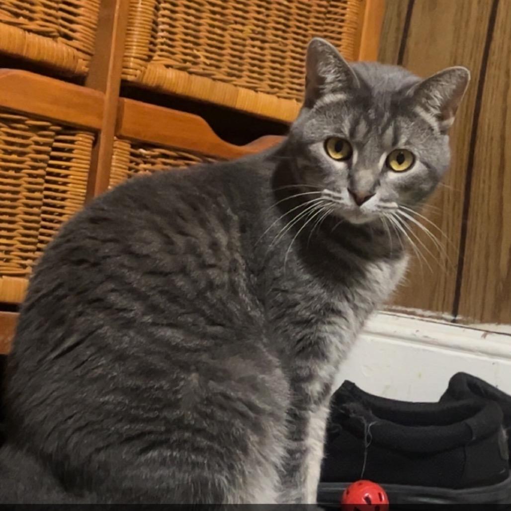 Luna photo