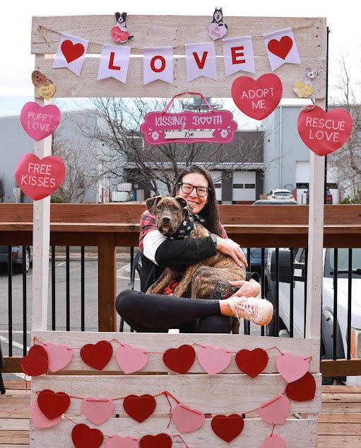 Enlarge Woodstock, a Adopted American Staffordshire Terrier in Fort Collins, CO image 2/3