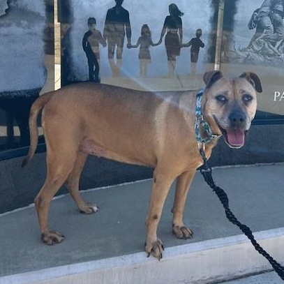 BERNADETTE — thumbnail 2