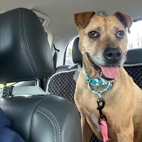 BERNADETTE — thumbnail 3