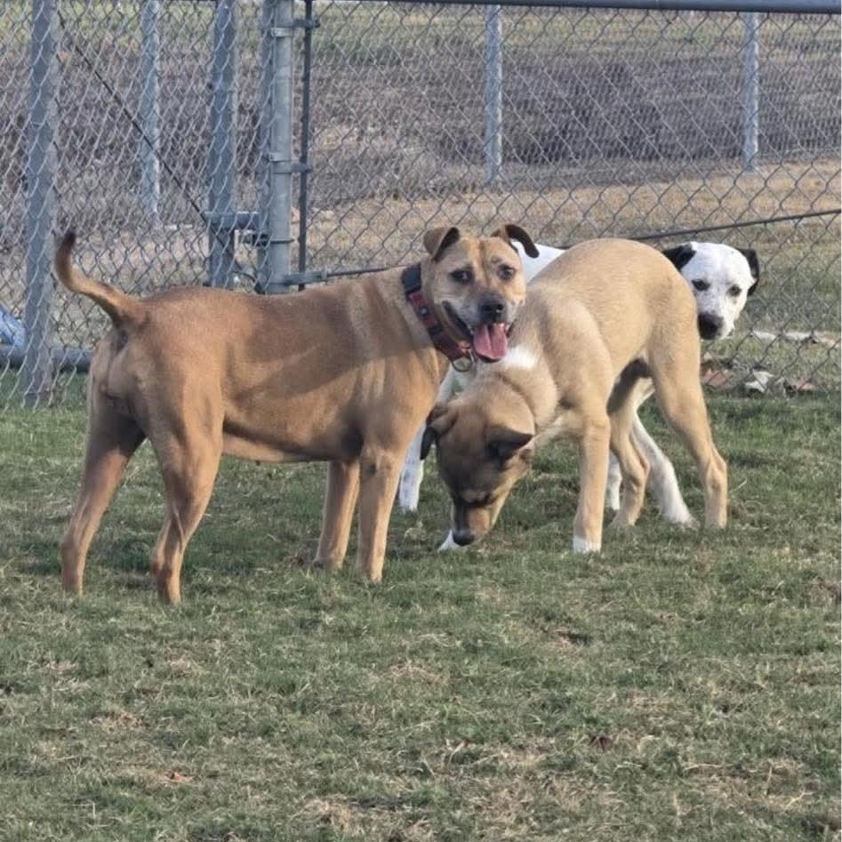 BERNADETTE — thumbnail 4