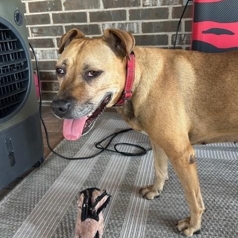 BERNADETTE — thumbnail 5