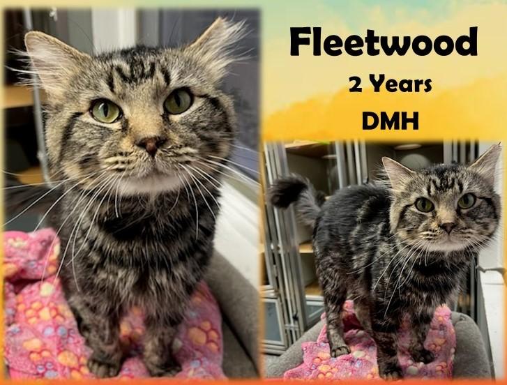 Fleetwood