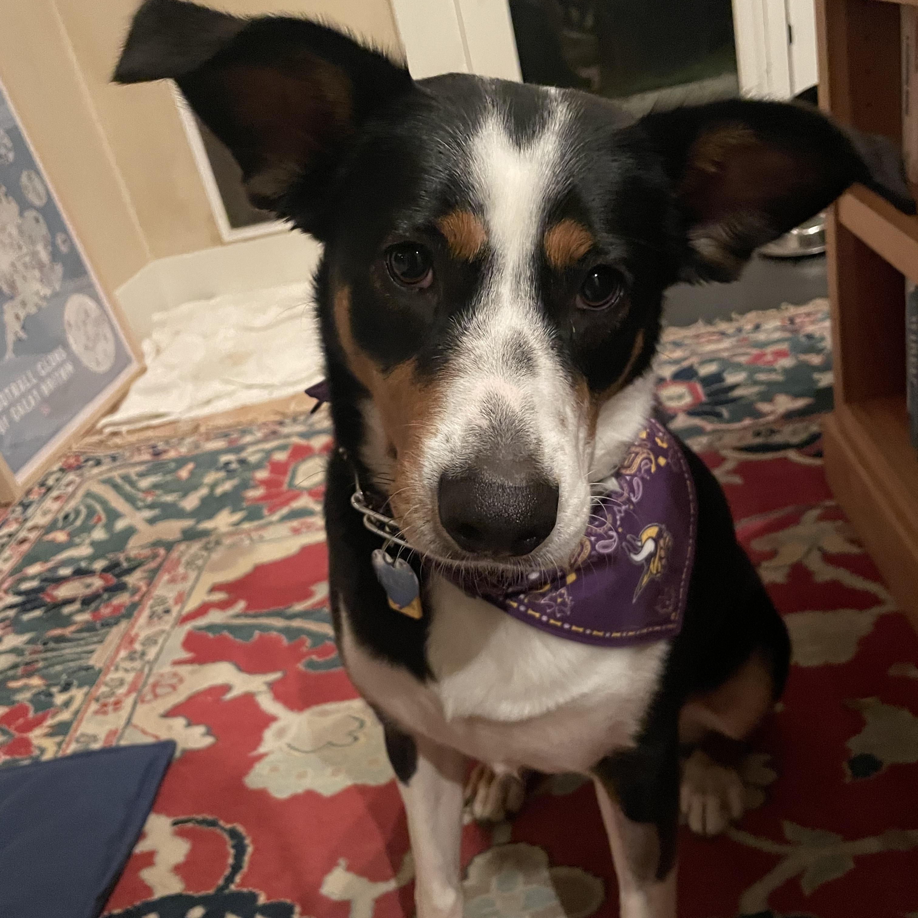 Kacey *Courtesy Post