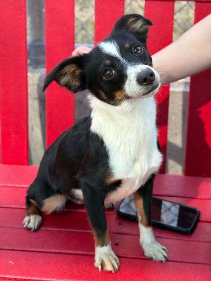 Pretty — thumbnail 2