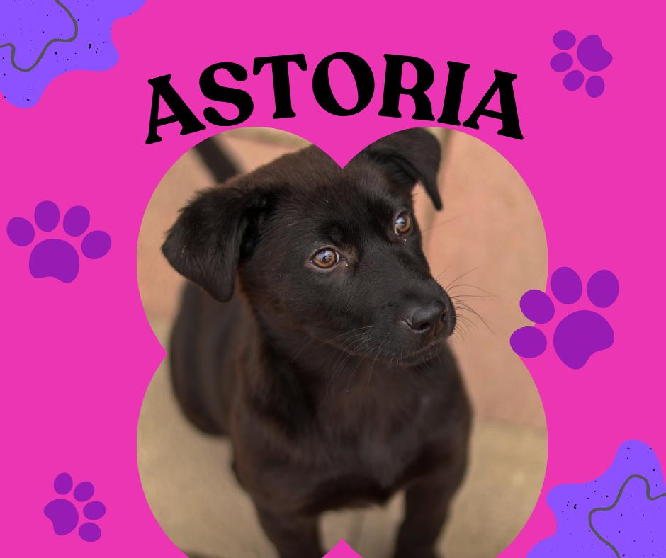 Astoria