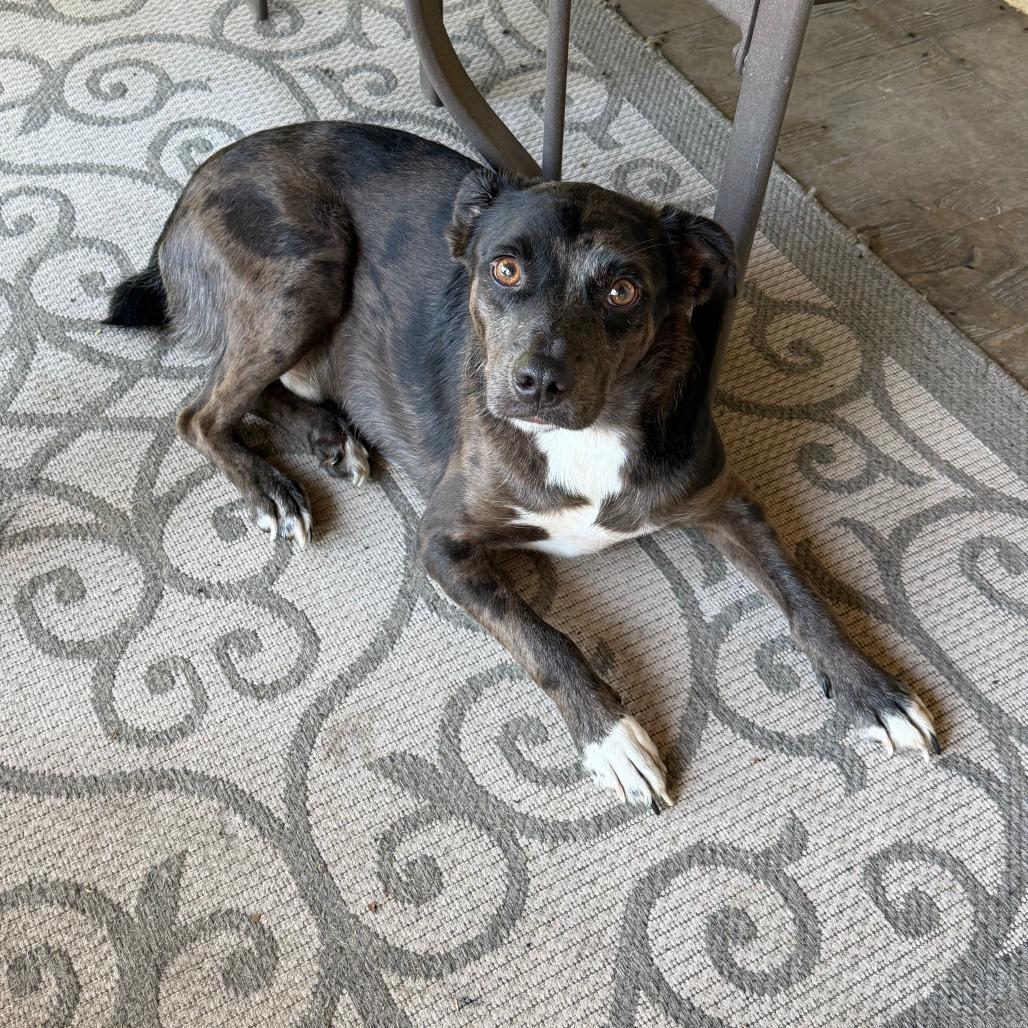 Roscoe photo