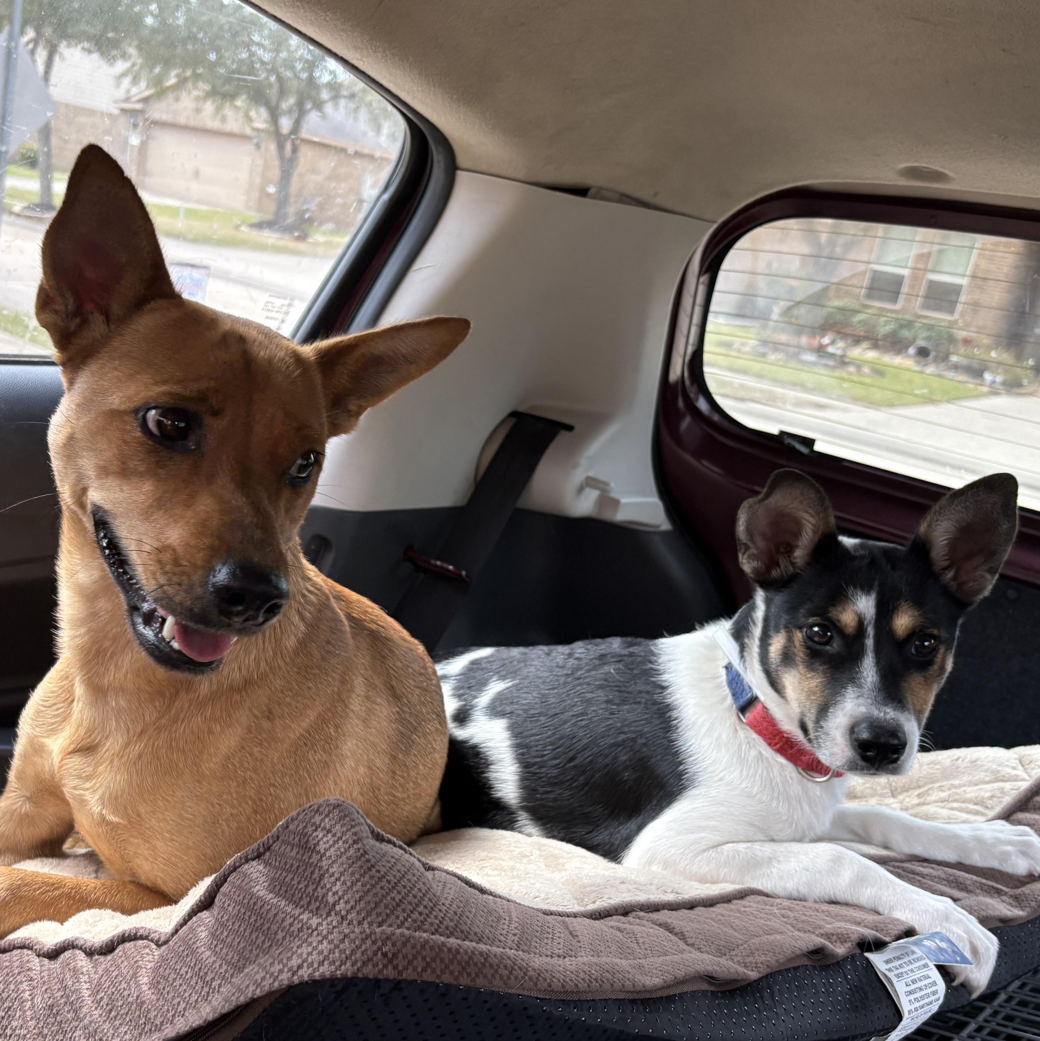 Marlee — thumbnail 2