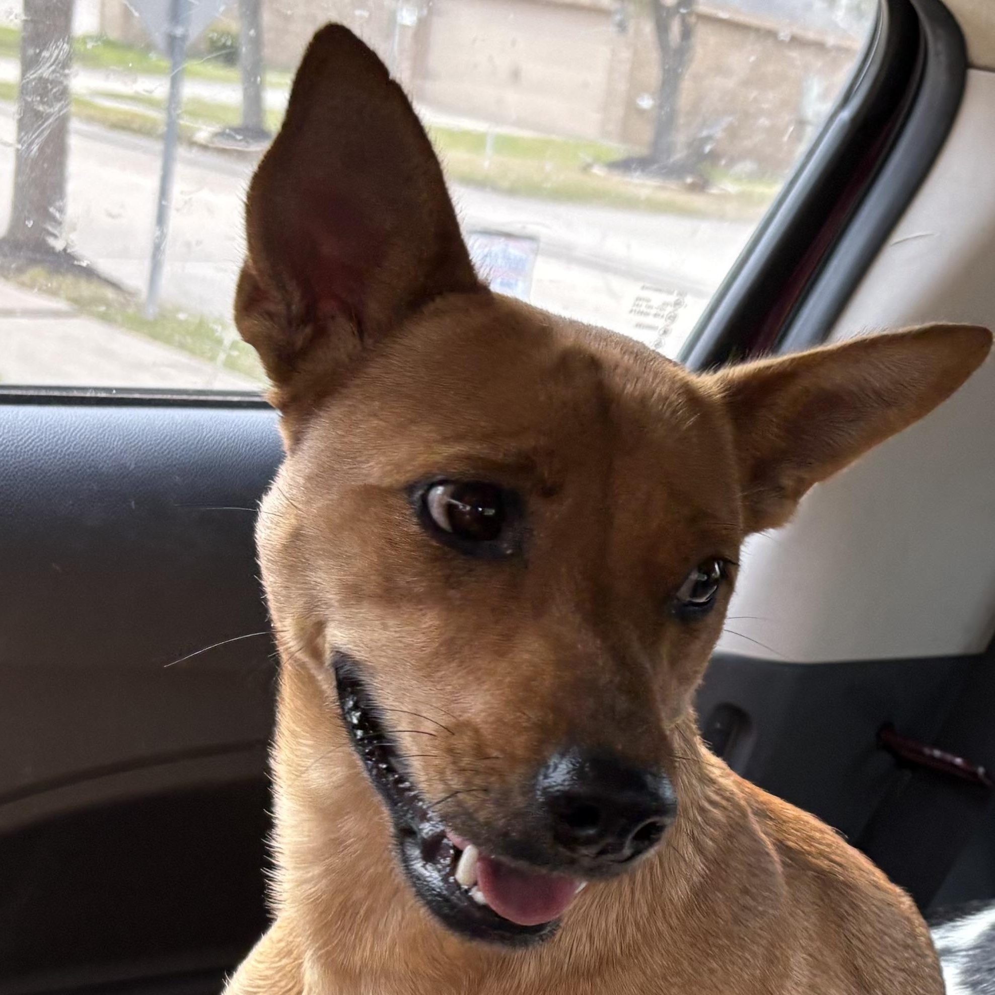 Marlee — thumbnail 3