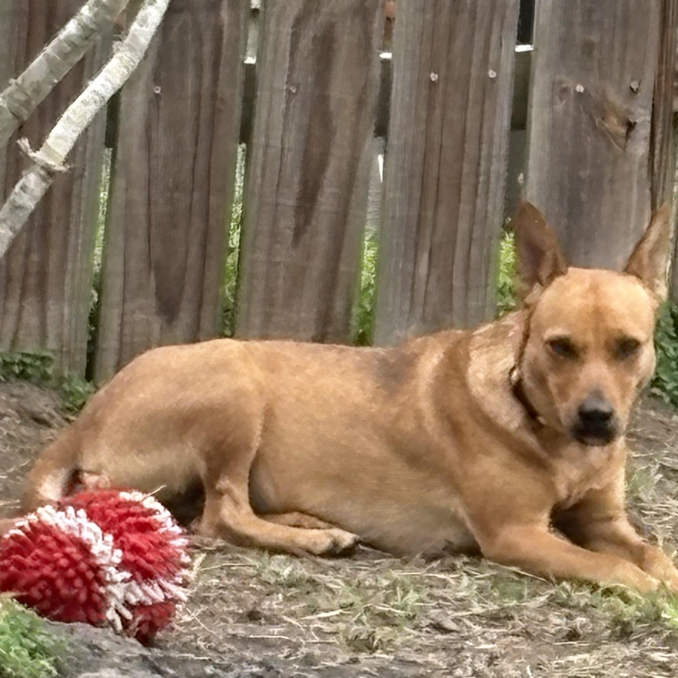 Marlee — thumbnail 4