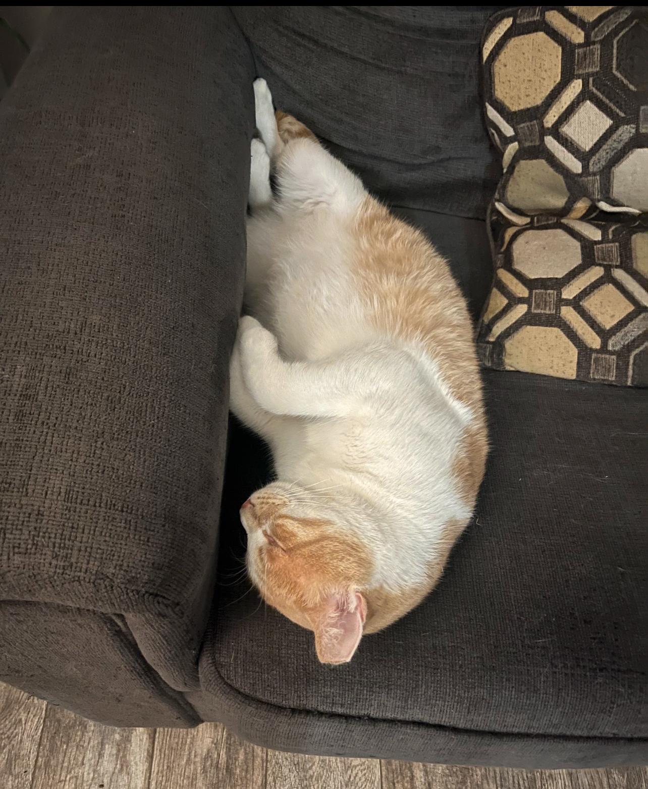 RUSTY