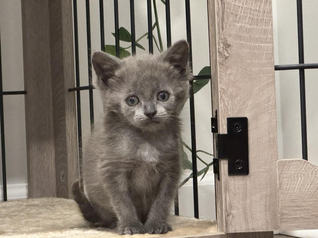 Fiona
