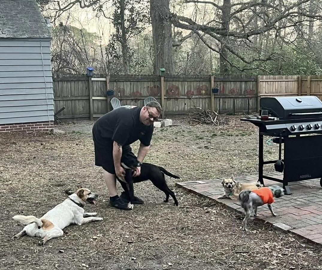 Enlarge Pepper , a ADOPTABLE mixed breed in Pompton Plains, NJ image 6/6