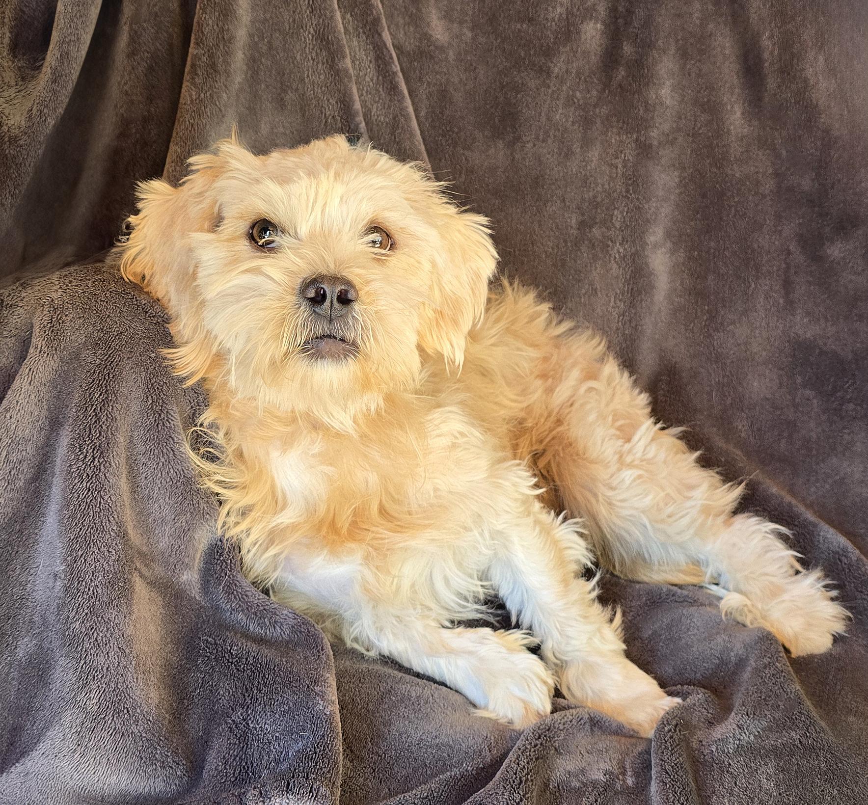 Outstanding Lil Mr Osha thumbnail 3