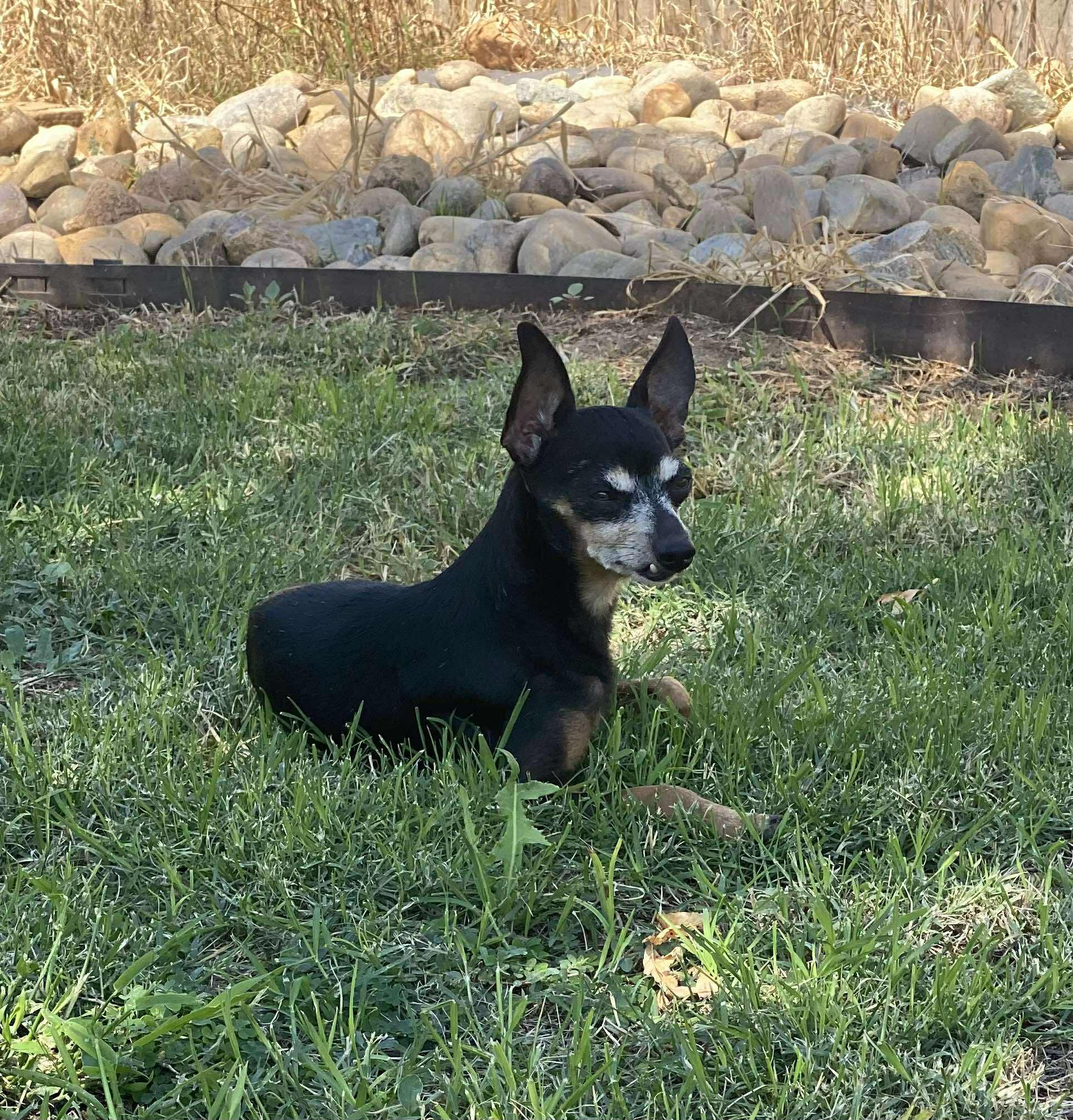 Sid