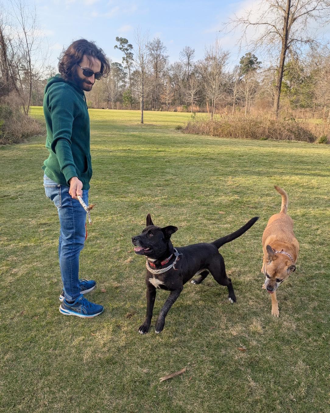 Buddy, a Adoptable mixed breed in Cypress, TX image 3/5