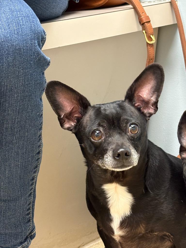 Reeses — thumbnail 4