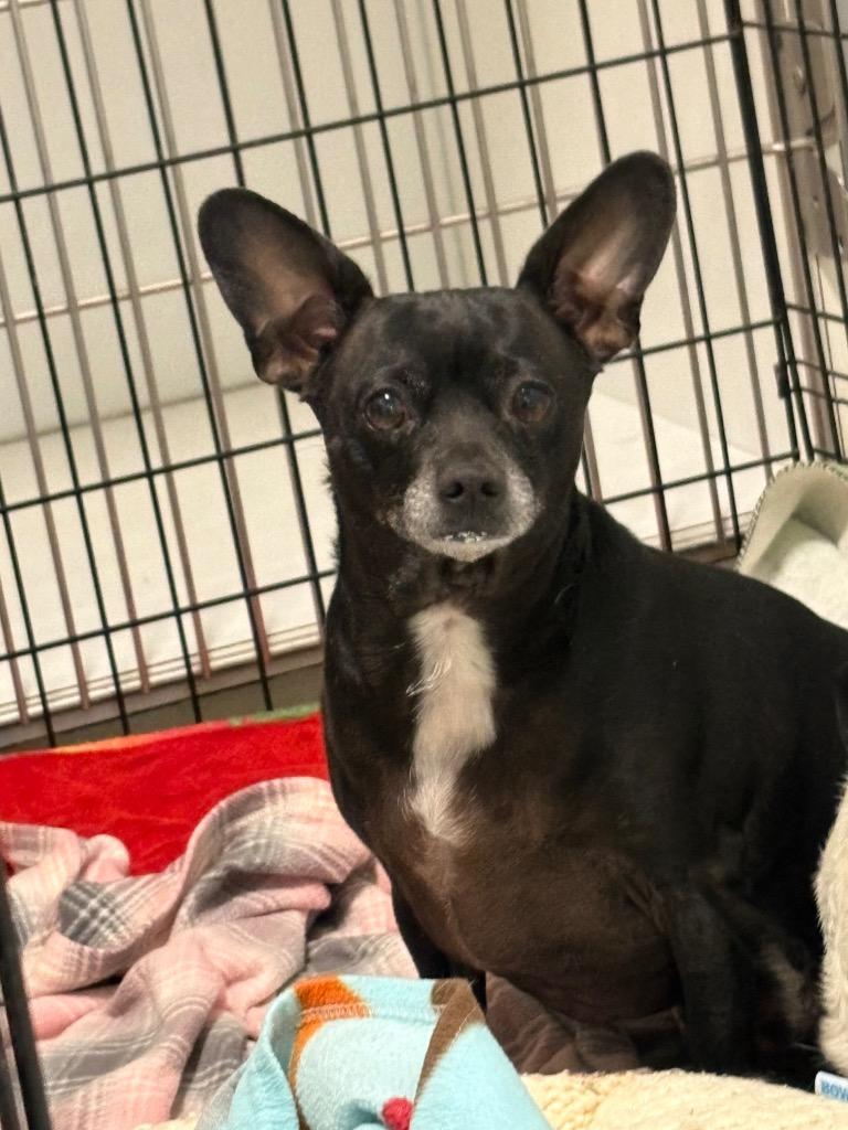 Reeses — thumbnail 5