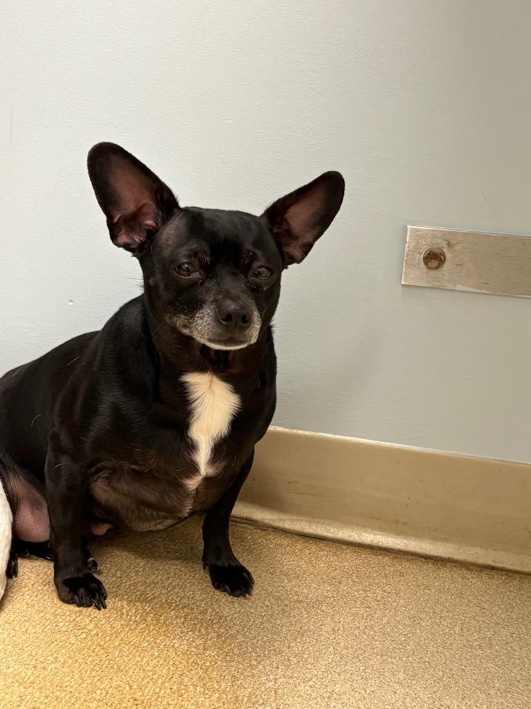 Reeses — thumbnail 6