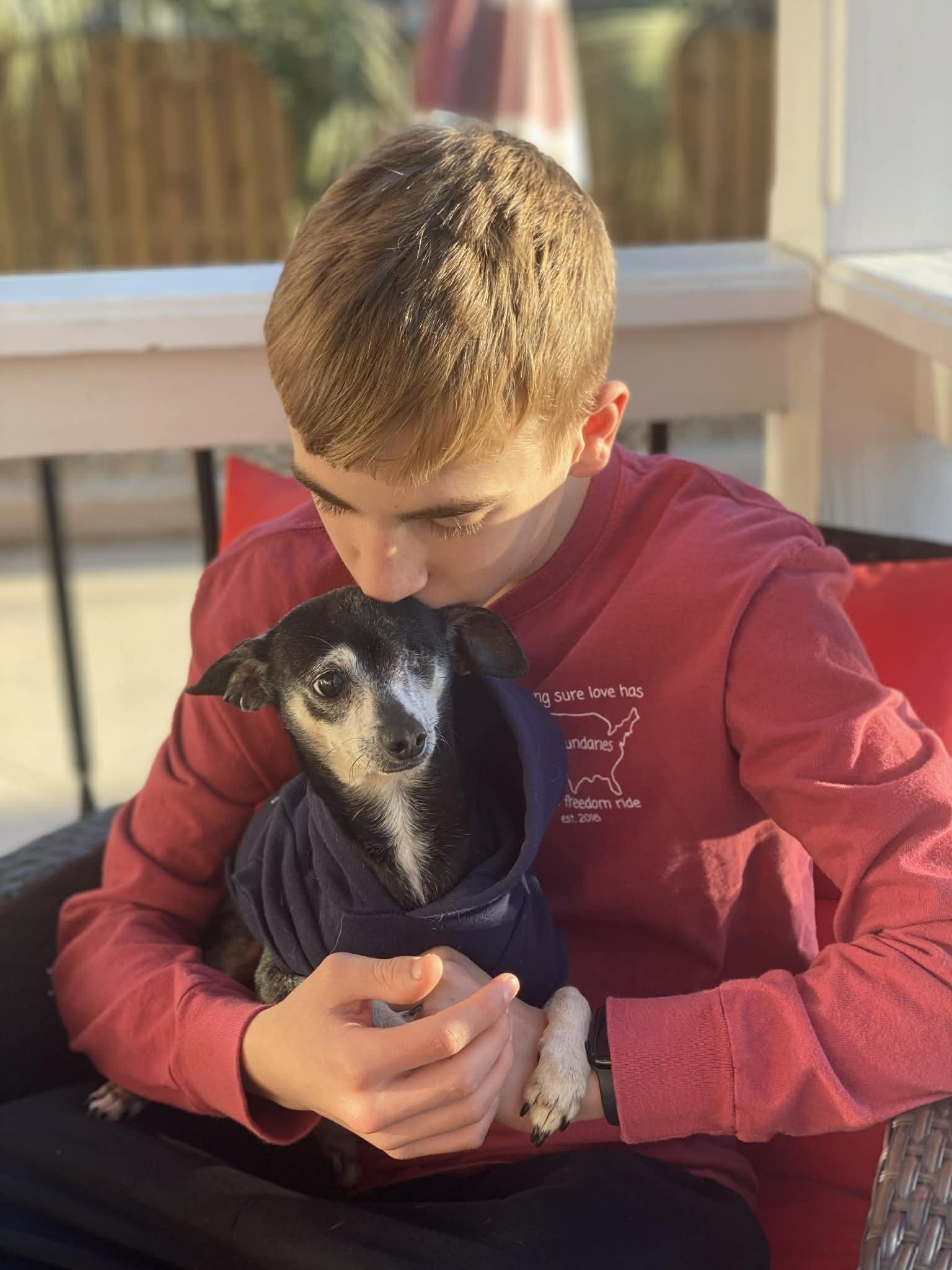 Enlarge CRICKET, a Adoptable mixed breed in Cleveland, OH image 5/6