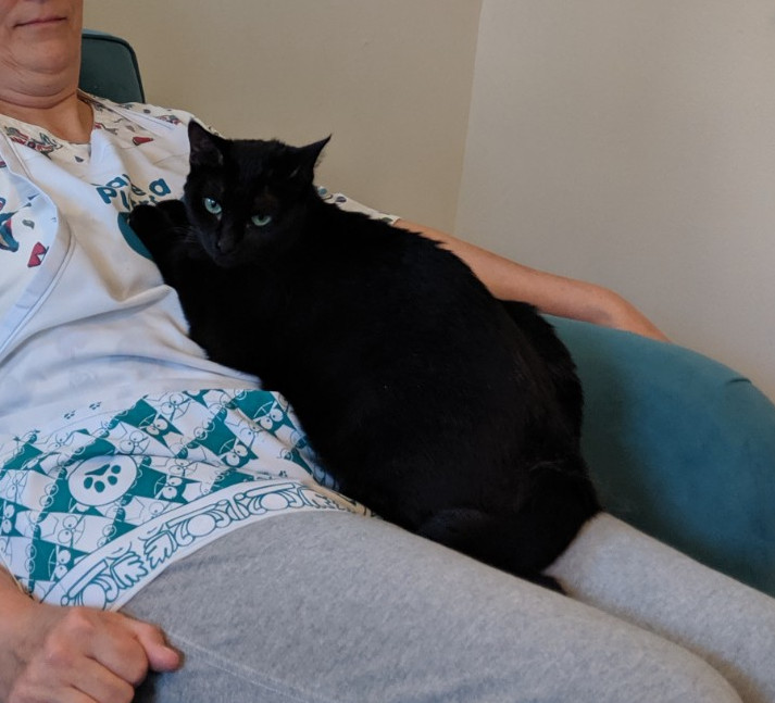 Enlarge Libby, a Adoptable mixed breed in Houston, TX image 4/12