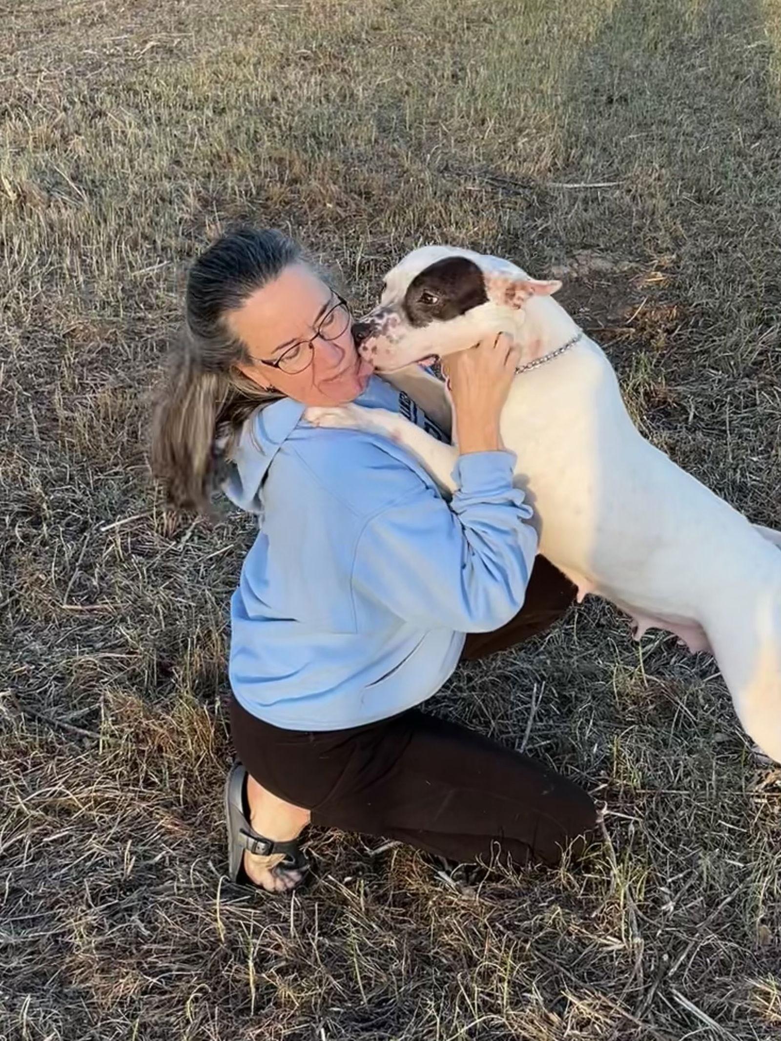 Rosie Rose, a Adoptable Pit Bull Terrier in Nashville, TN image 2/3