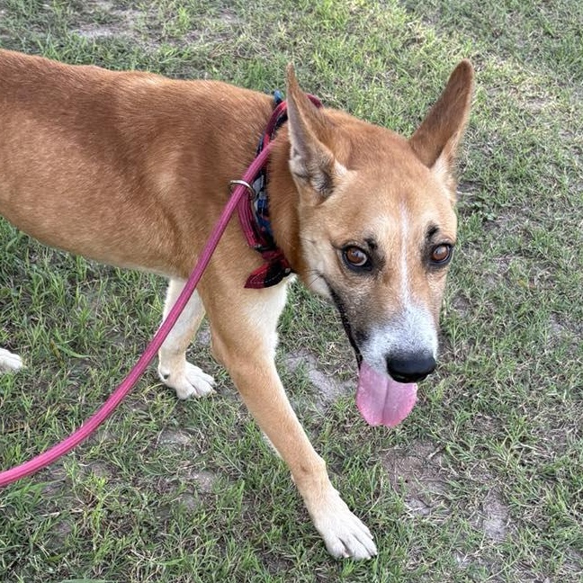 Flako — thumbnail 6