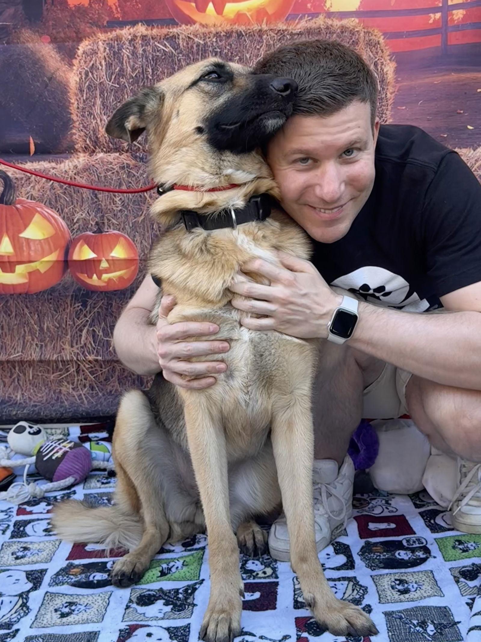 Enlarge Elle, a Adoptable German Shepherd Dog in Capistrano Beach, CA image 1/3