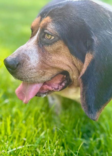 Molly