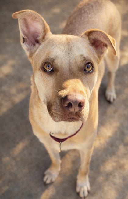 Alan — thumbnail 2