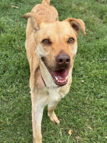 Alan — thumbnail 3