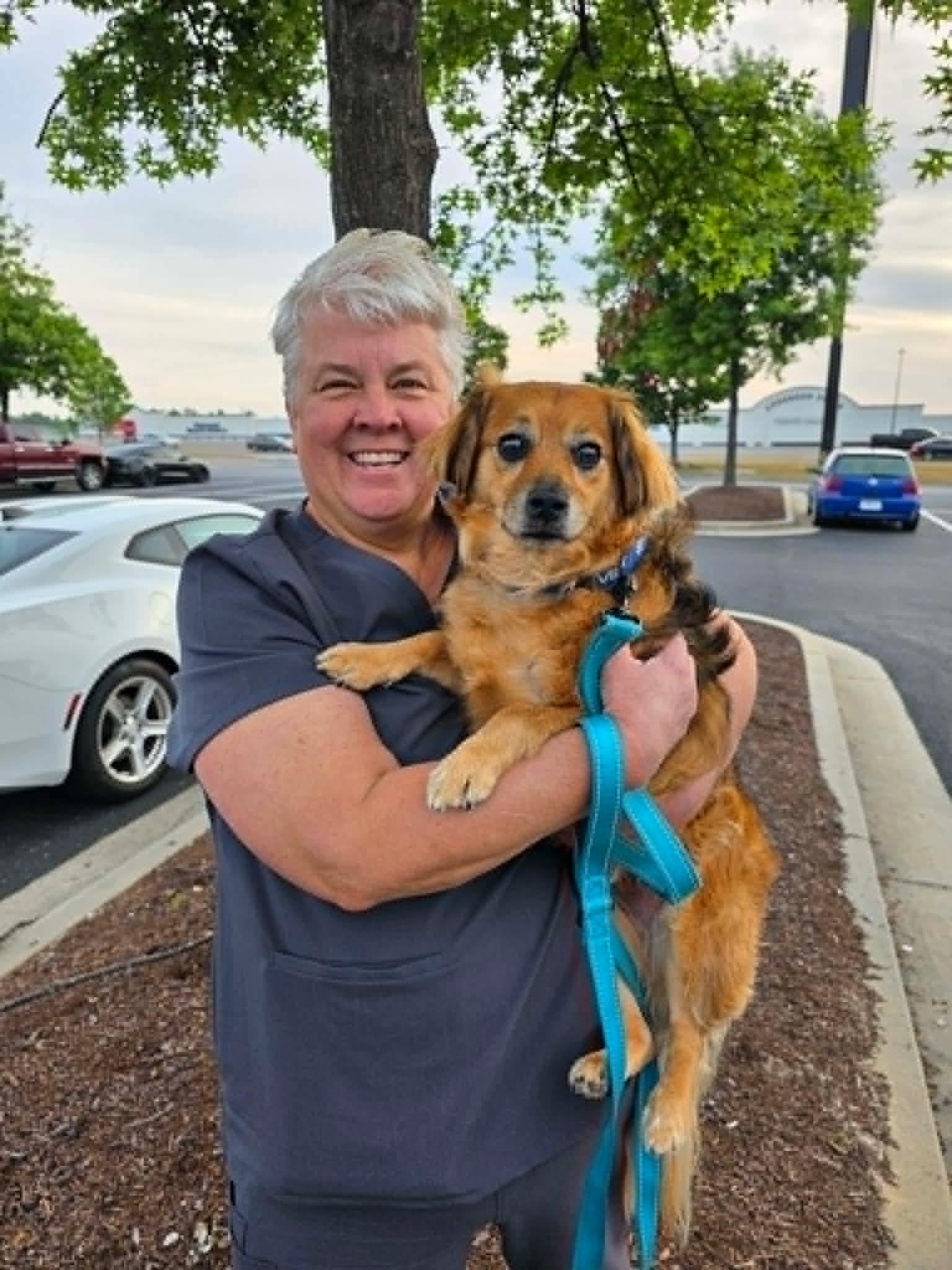 Skeeter, a Adoptable mixed breed in Boise , ID image 6/6