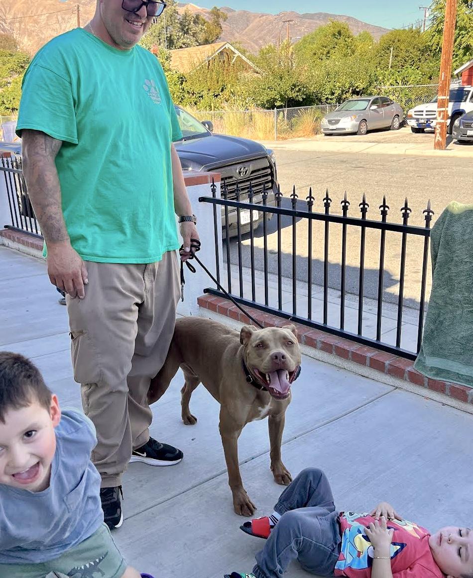 Enlarge CANOODLE, a Adoptable mixed breed in Sherman Oaks, CA image 5/6