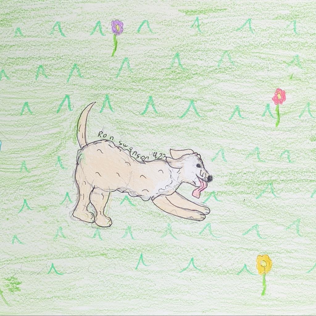 Ron Swanson — thumbnail 2