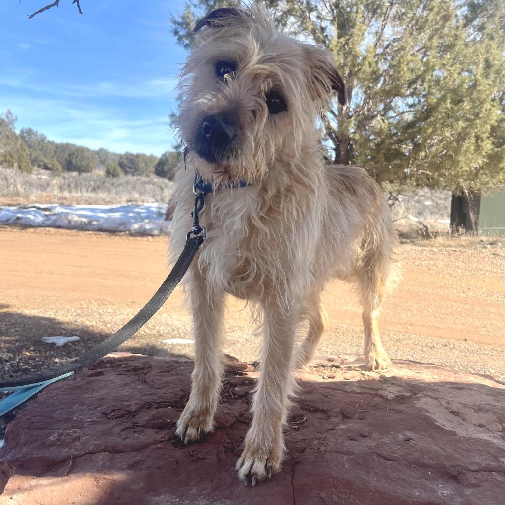 Ron Swanson — thumbnail 4